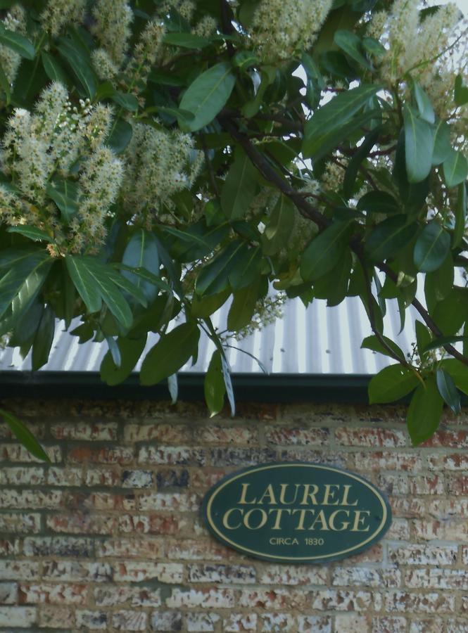 Laurel Cottage Ричмънд Екстериор снимка