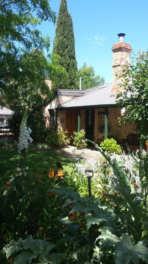 Laurel Cottage Ричмънд Екстериор снимка